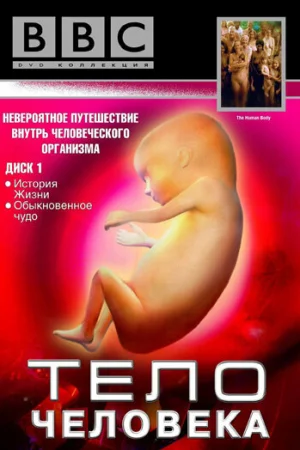 BBC: Тело человека 1 сезон онлайн